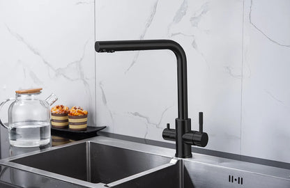 Dual Handle Filtered Drinking Water Kitchen Faucet – Stainless Steel Brushed Nickel - stirhaus