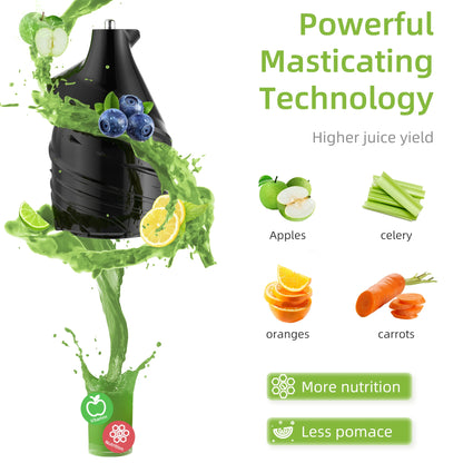 Cold Press Juicer with Wide Feed Chute – 200W Slow Masticating Juice Extractor - stirhaus
